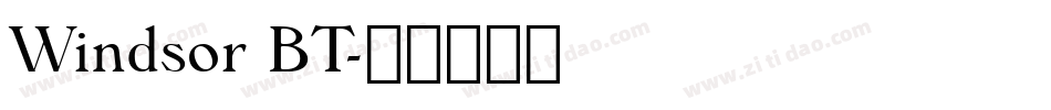Windsor BT字体转换
